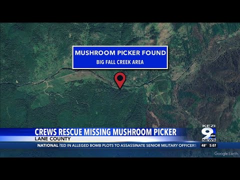 Mushroom picker rescued on Christmas Day