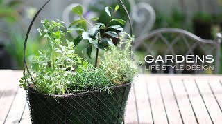 GARDENSハーブのバスケットの寄せ植え | ブーケガルニとローリエリース | Herb planting | 【ガーデンズ】