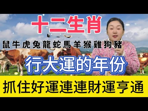 十二生肖行大運的年份！正財橫財滾滾而來，事業騰飛勢不可擋，家庭美滿幸福洋溢，生活如意吉祥安康，好運爆棚擋都擋不住！#生肖 #熱門 #風水 #正能量 #運勢 #佛教