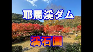 紅葉の耶馬渓ダム渓石園