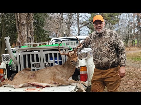 Big Buck Down!! Deer Hunting With Dogs!! 8 Deer Down!! 12/1/23