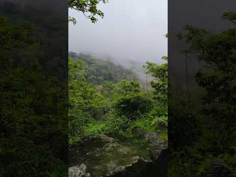 Nature view - clouds and greenery