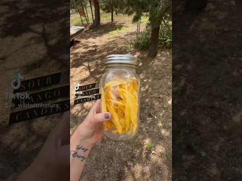 Turning Fresh Mangoes into Healthy Sour Candy- No Added Sugar !