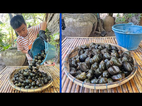 Delicious River Snails cooking with country style - Chef Seyhak