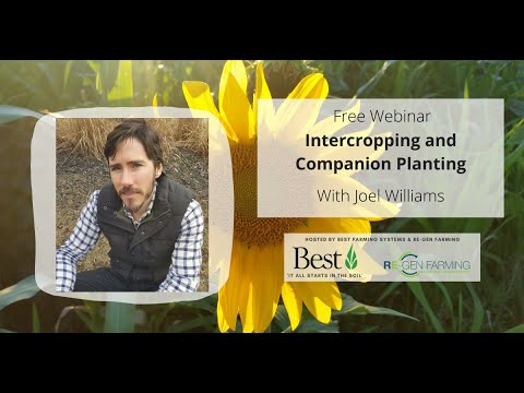 Intercropping and Companion Planting with Joel Williams