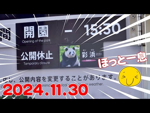 🐼【パンダ超速報】公開休止からの降臨✨ギネス級のファンサとは🤗