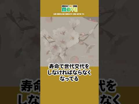 日本中の #桜 の木のひみつ #図鑑MOVEが解説！