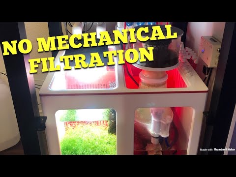 No Mechanical Filtration