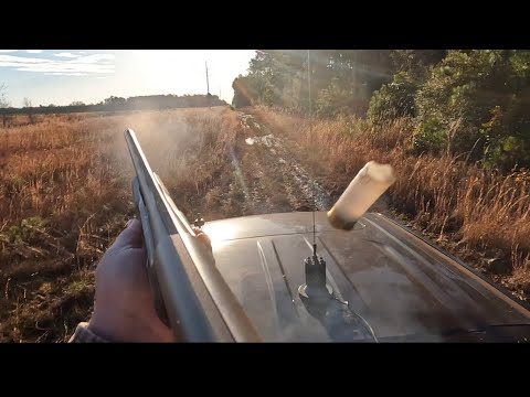 SC Deer Dog Drives 12/14/24: Multiple Bucks Killed on Cam!