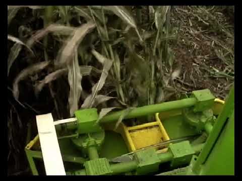 Working video of silage silk harvester