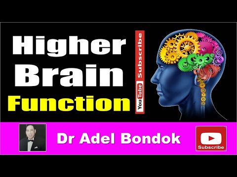 Higher Brain Function, Dr Adel Bondok Making Anatomy Easy