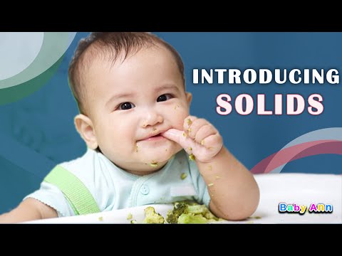 INTRODUCING SOLIDS | Baby’s First Foods and How to Start Safely | Complete Guide to Starting Solids