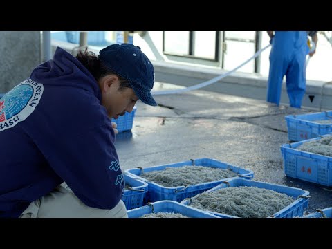 それぞれの10年　しらす創り 山利　しらす屋 / 和歌山県和歌山市