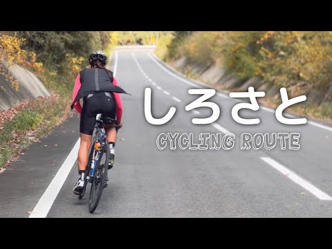 真のゆるポタ・城里町サイクリングルートを走ってきた。