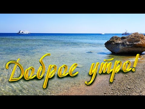 Доброе Утро! Пусть лёгким будет новый день!