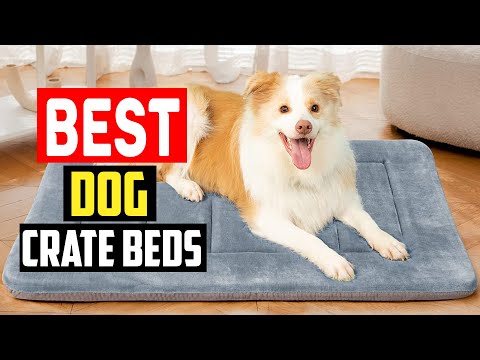 ✅Top 5 Best Dog Crate Beds and Pads in 2023