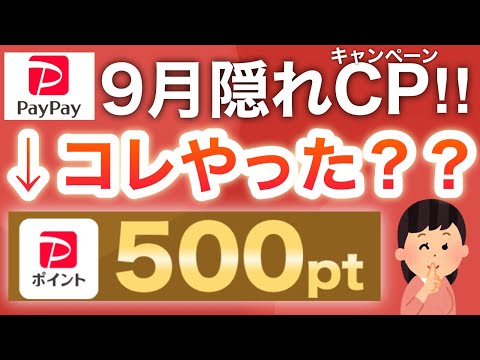 コレは貰っておかないと後悔するやつ…‼︎【PayPay】