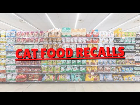 Recalled Cat Food | Two Crazy Cat Ladies #shorts