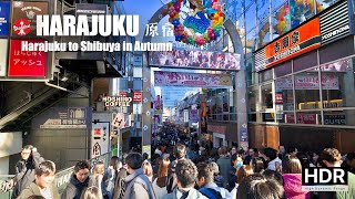 Harajuku to Shibuya - Tokyo’s Vibrant Autumn Crowds - 4K HDR - 東京 原宿 渋谷