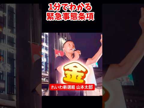 1分でわかる #緊急事態条項 #山本太郎 #れいわ新選組 2024/9/22 街宣より #shorts