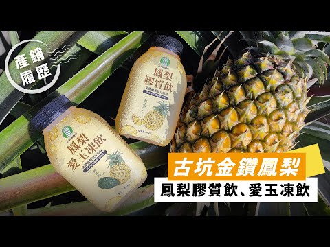 夏日消暑聖品登場！！古坑金鑽鳳梨飲品熱情上市｜顛覆傳統古早味、另類的鳳梨冰茶