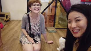 Vlog | Singapore Cat Cafe 探店新加坡猫咖 |我和英国室友的探店之行|猫咪萌宠