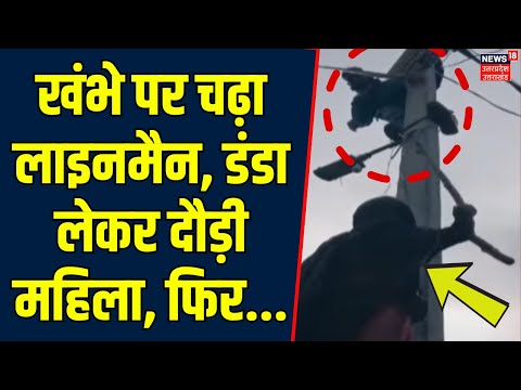 Sambhal News: खंभे पर चढ़ा लाइनमैन, डंडा लेकर दौड़ी महिला, फिर... | Hindi News | Top News | UP News