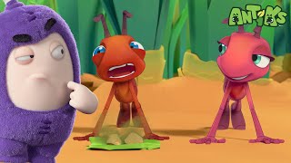 Boo’s Cake Training Program 🍰💪 | 2H of Oddbods & Antiks | Best Cartoons For All The Family  🎉🥳