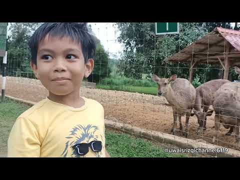 Taman rusa di UUM Sintok