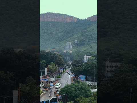 The beauty of Tirumala Tirupati  #tirumala #tirupati #temple#govinda #venkateswara