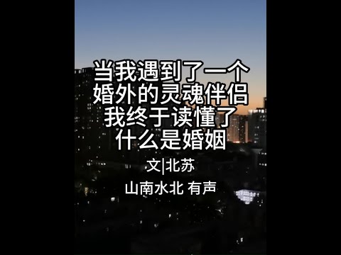 第754集当我遇到了一个婚外的灵魂伴侣，我终于读懂了什么 #情感共鸣 #人生感悟  #灵魂伴侣 #夫妻 #婚姻