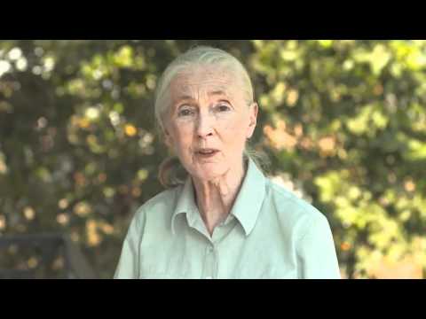 Jane Goodall Supports Rangers and The Thin Green Line Foundation