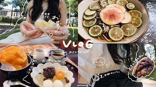 vlog. 25歳OLの京都一人旅。夏ver.🌻🤍老舗あんこ巡り&蕎麦巡りの旅☁️🍧❤️#旅行vlog