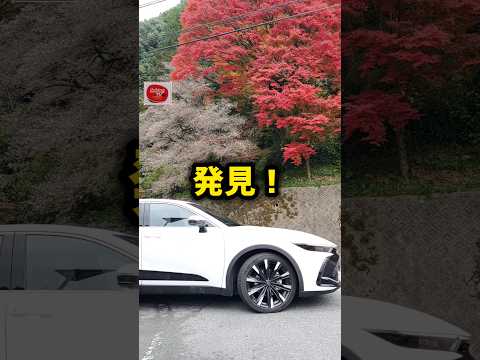 【新型クラウンクロスオーバー】劇レア！奇跡の桜！絶景10選～四季桜 1/10～納車後レビュー！#shorts #レビュー 内装・外装・デザイン 2024 TOYOTA NEW CROWN