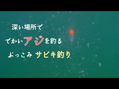 深場を探る釣り ぶっこみサビキ釣り 仕掛けの動き方　水中映像