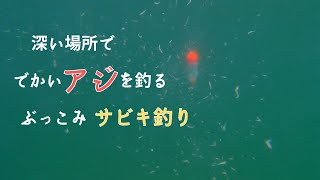 深場を探る釣り ぶっこみサビキ釣り 仕掛けの動き方　水中映像