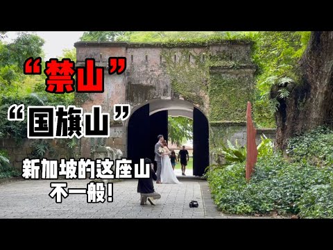 “新加坡王朝”时代的“禁山”！