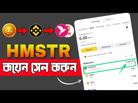 HAMSTER KOMBAT টোকেন বিক্রি করুন || hamster Kombat Withdrawal process