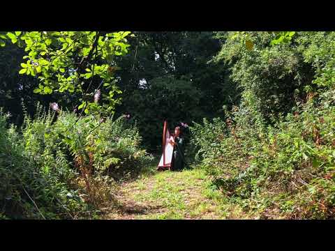 Scarborough Fair - Celtic Harp