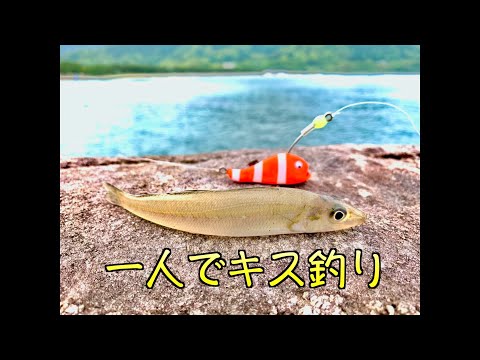 【キス釣り】謎のアンコウ使って一人でまったり釣り