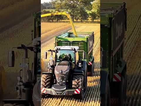 Fendt Black Beauty 😈😈😈 #fendt #tractor #agriculture #lpgostharz #farming