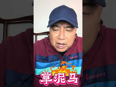 网民评出2024年最无耻的事情就是......