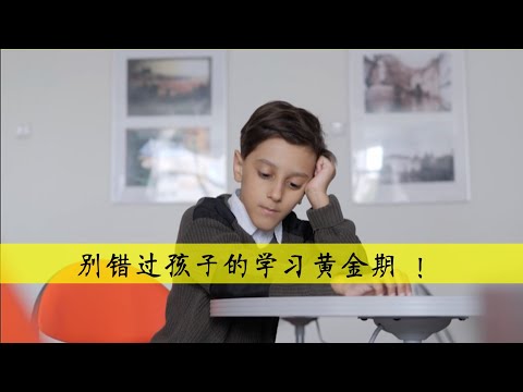 别错过孩子的学习黄金期 !