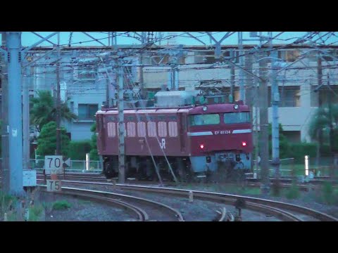 【配給輸送】EF81 134 新津配給牽引機返却回送　＠大船駅　2024.5.27