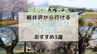 【自然豊か】軽井沢からいけるウォーキングコース　オススメ3選