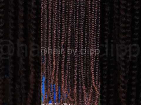 The Real Passion Twists And The Hair Extension #passiontwists