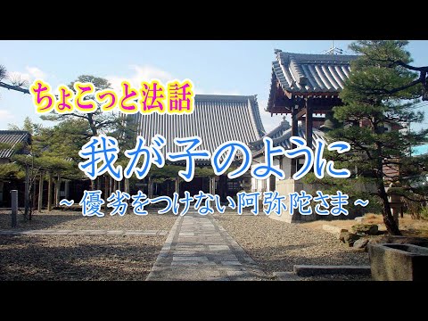 ちょこっと法話「我が子のように～優劣をつけない阿弥陀さま～」