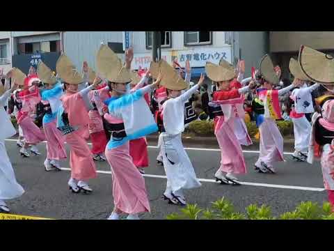 徳島県阿波踊り協会選抜連(コース2) 2024 12/1 徳島おどりフェスタ～新時代へ躍り出そう～