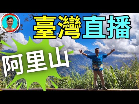 臺灣阿里山中看天下！