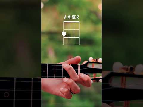 How To Play "Am" Ukulele Chord // Beginner Ukulele Chord Series #2